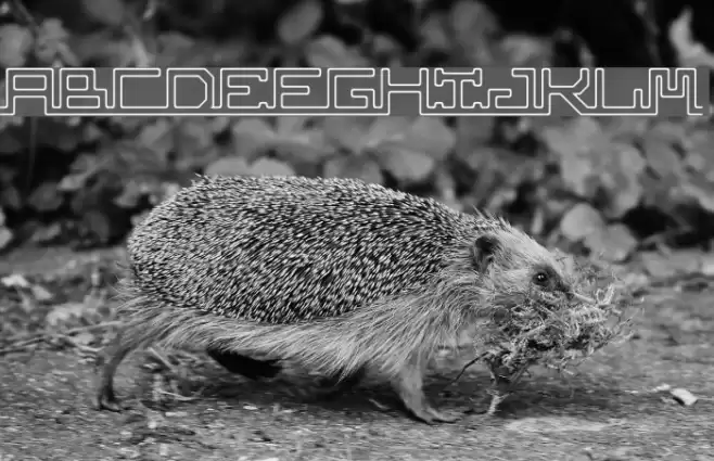 abc,pipe Font examples