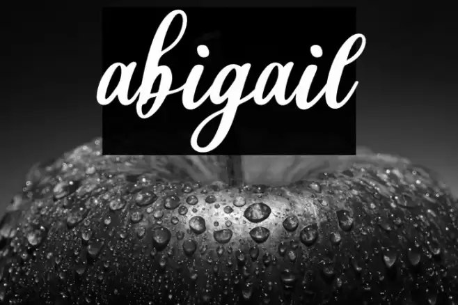 abigail フォント examples