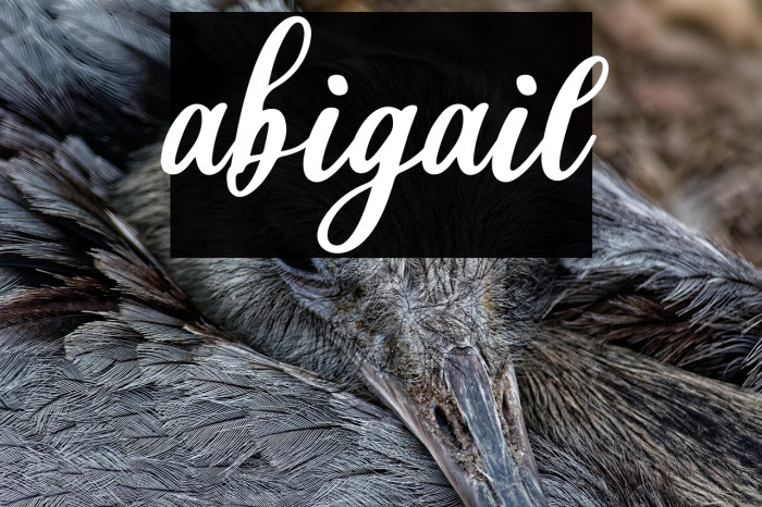 abigail Example 2