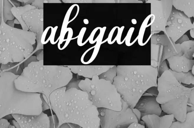 abigail フォント examples