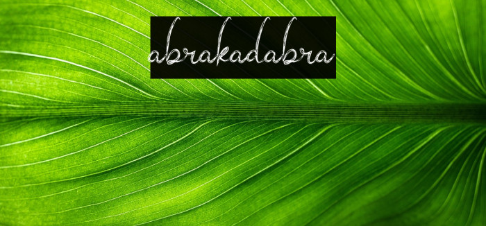 abrakadabra Example 1