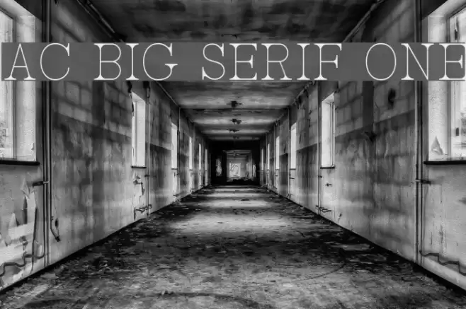 AC Big Serif One Font examples