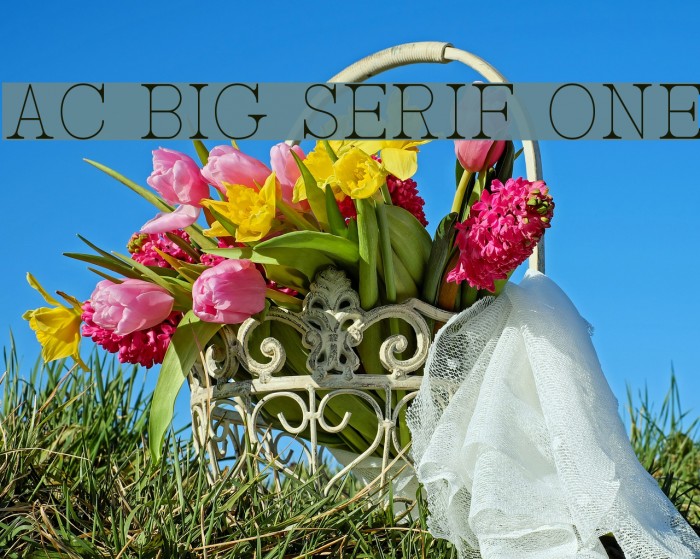 AC Big Serif One Font examples