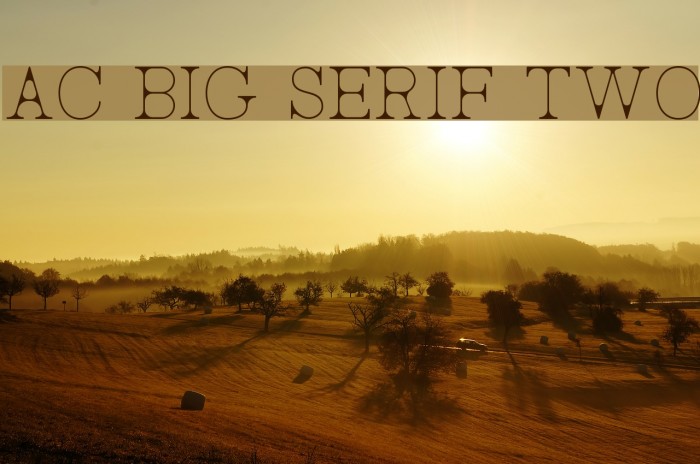 AC Big Serif Two Font examples