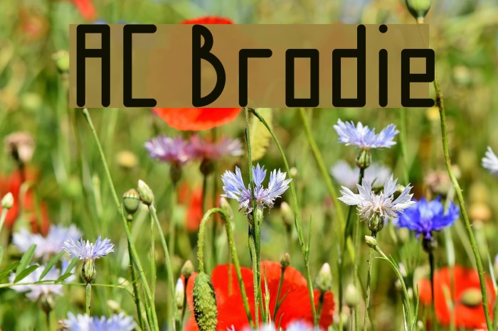 AC Brodie Font examples