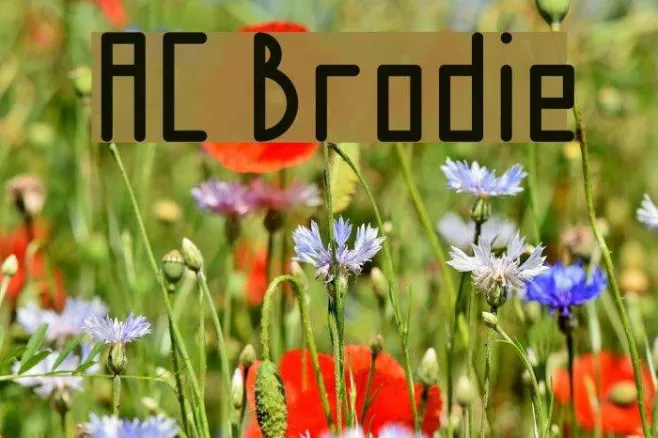 AC Brodie Example 2