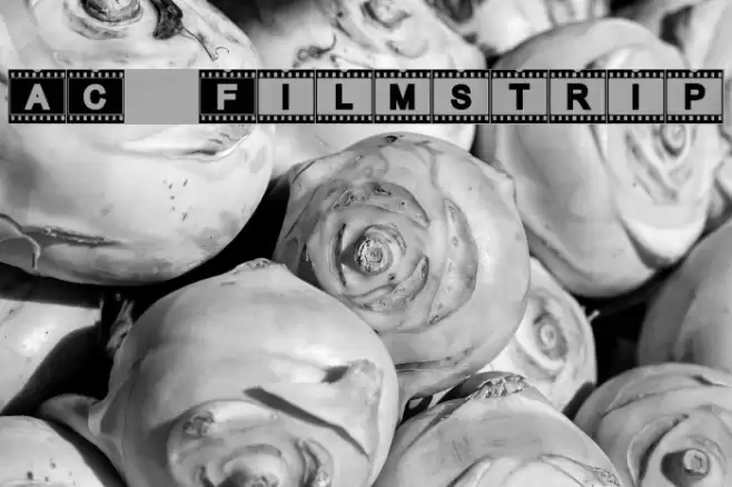 AC Filmstrip Fonte examples