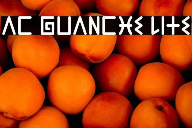AC Guanche Lite Example 2