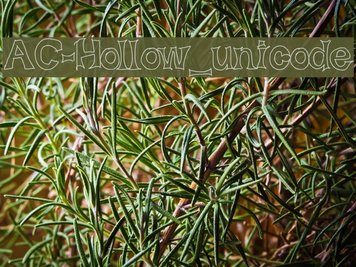 AC-Hollow_unicode Font examples