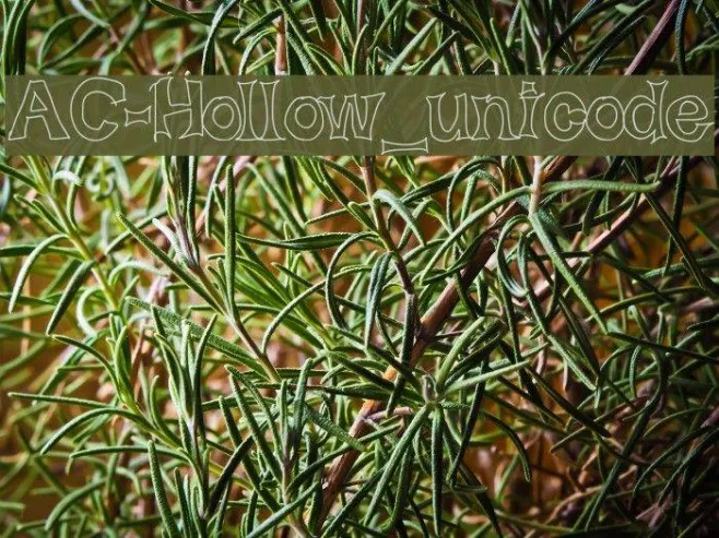 AC-Hollow_unicode Example 3