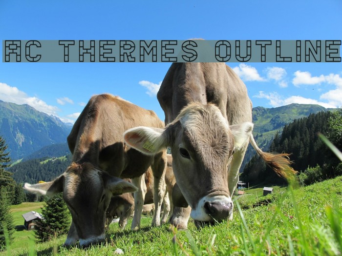 AC Thermes Outline Font examples