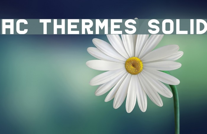 AC Thermes Solid Font examples