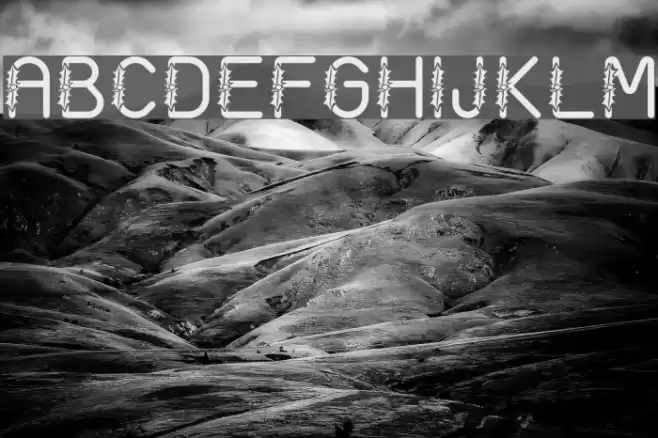 AC1 Holly Font examples