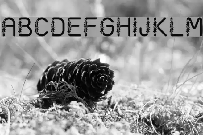 AC1 Holly Font examples