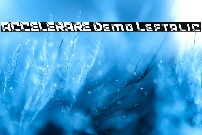 ACCELERARE Demo Leftalic Example 1