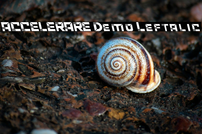 ACCELERARE Demo Leftalic Example 3