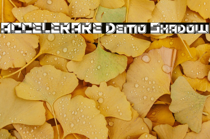 ACCELERARE Demo Shadow Example 1