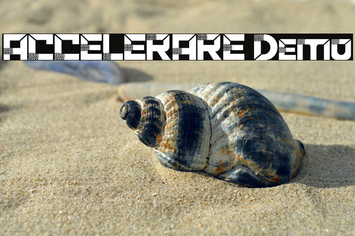 ACCELERARE Demo Example 1