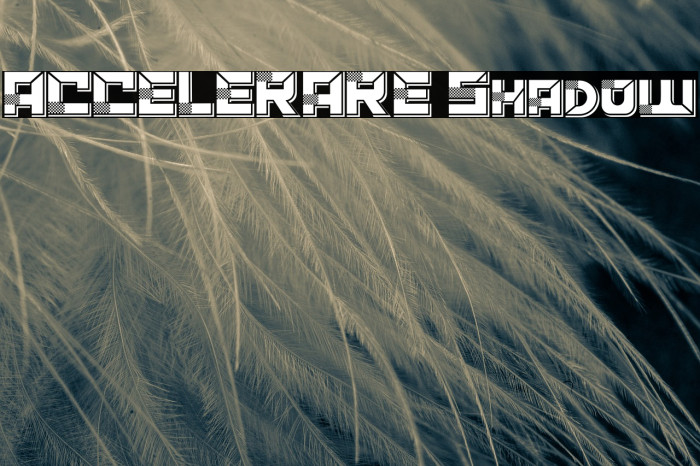 ACCELERARE Shadow Font examples