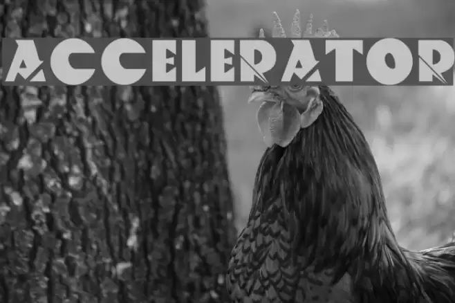 ACCELERATOR Font examples