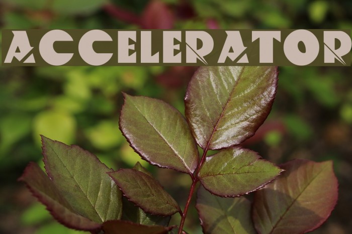 ACCELERATOR Schriftart examples