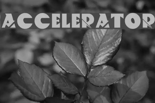 ACCELERATOR Font examples