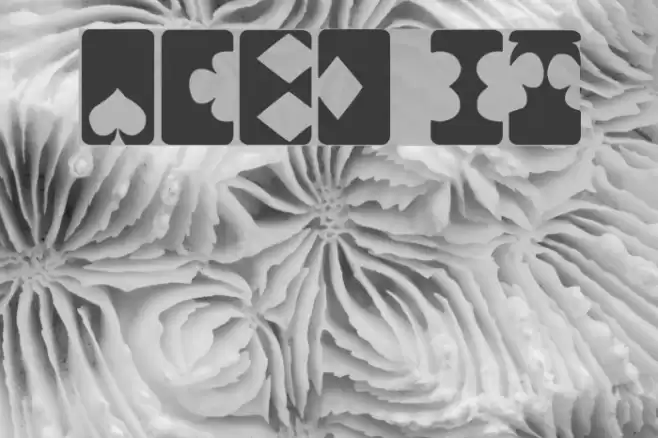 ACED IT Font examples