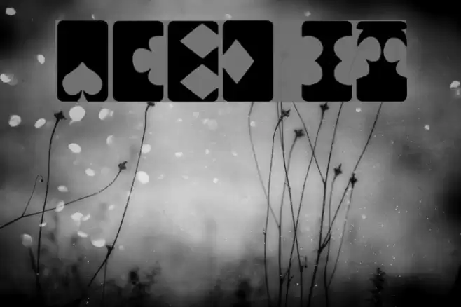 ACED IT Font examples