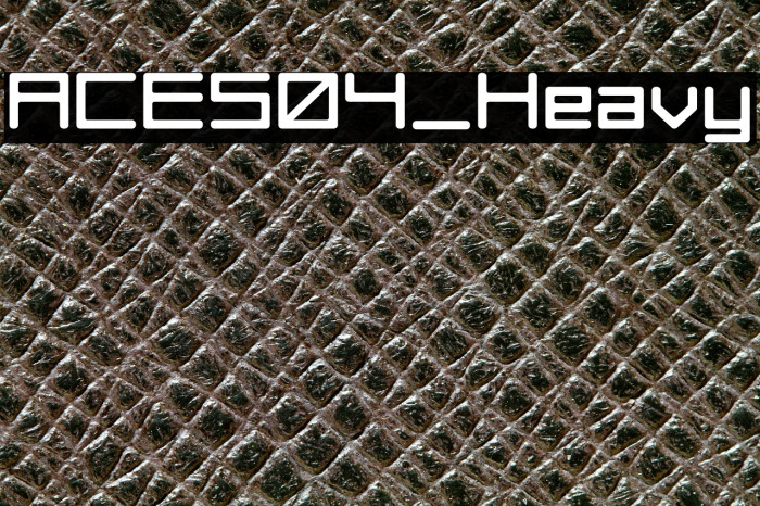 ACES04_Heavy Example 1