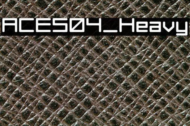 ACES04_Heavy Example 1
