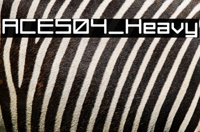 ACES04_Heavy Example 2