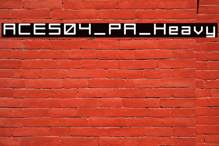 ACES04_PA_Heavy Example 1