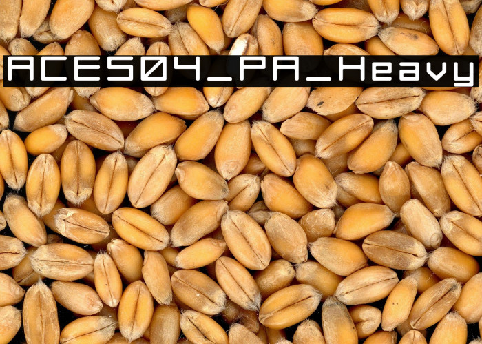 ACES04_PA_Heavy Example 2