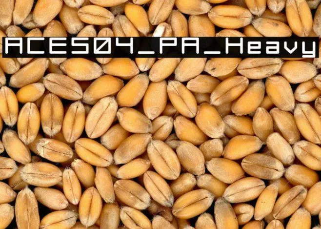 ACES04_PA_Heavy Example 2