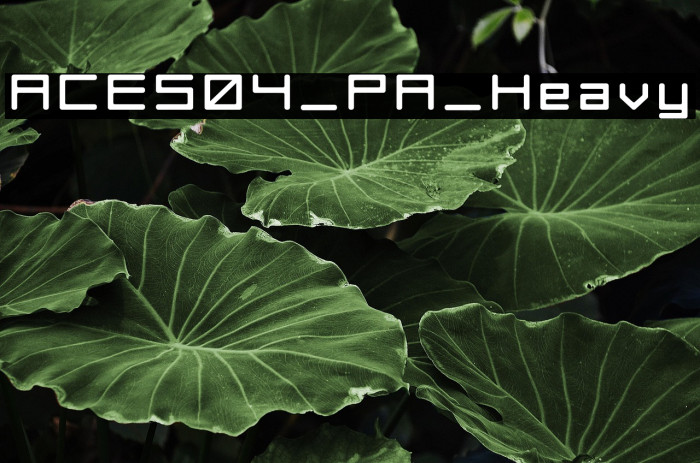 ACES04_PA_Heavy Example 3