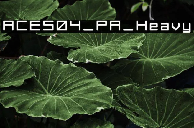 ACES04_PA_Heavy Example 3