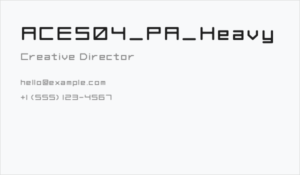 ACES04_PA_Heavy Business Card