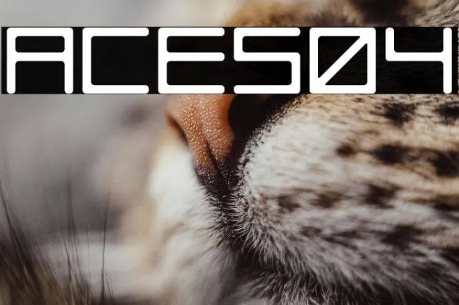 ACES04 Example 2