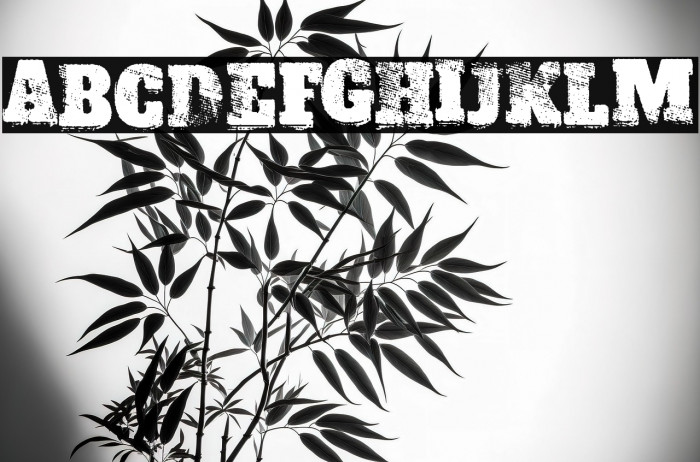 ACID LABEL II Example 3