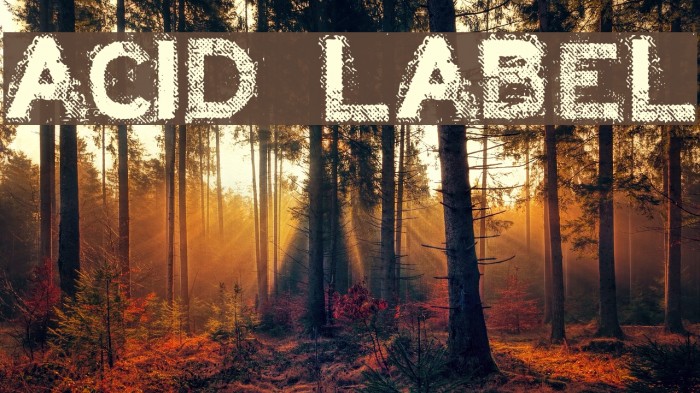 ACID LABEL___ Font examples