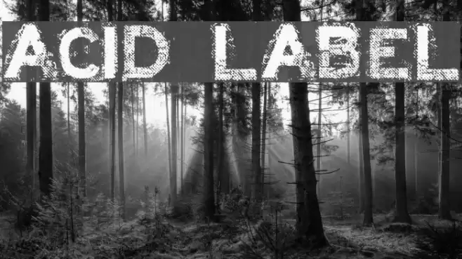 ACID LABEL___ Шрифта examples