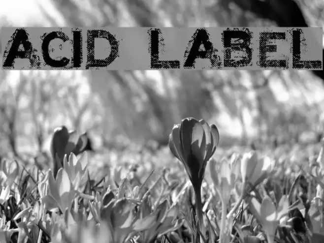 ACID LABEL___ Polices examples