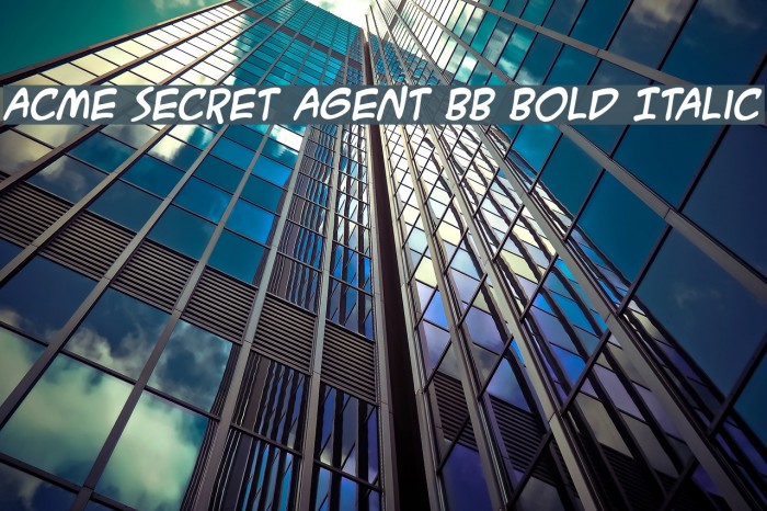 ACME Secret Agent BB Bold Italic Example 3
