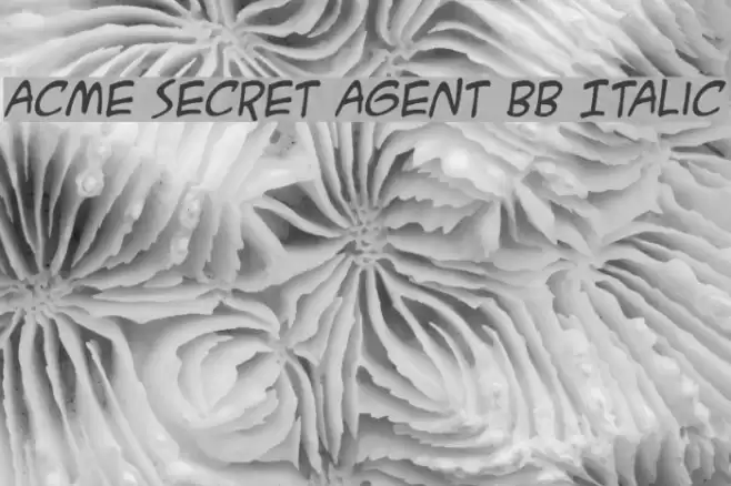 ACME Secret Agent BB Italic Font examples