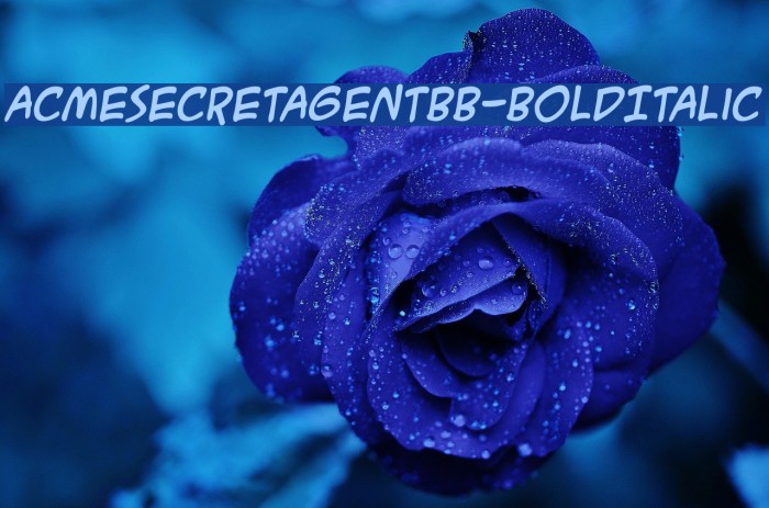 ACMESecretAgentBB-BoldItalic Font examples