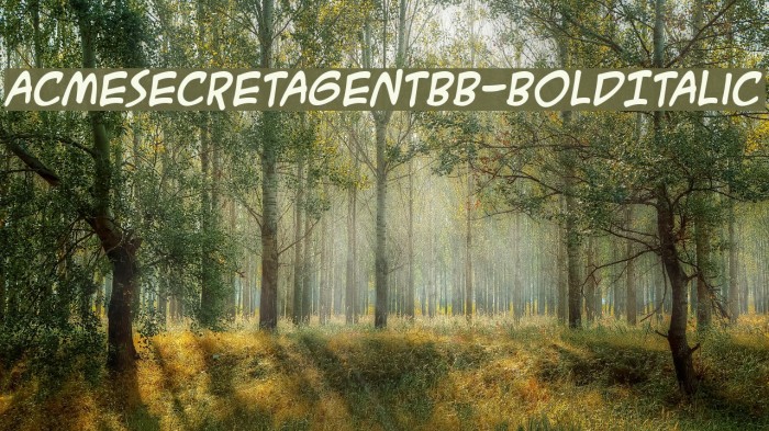 ACMESecretAgentBB-BoldItalic Font examples