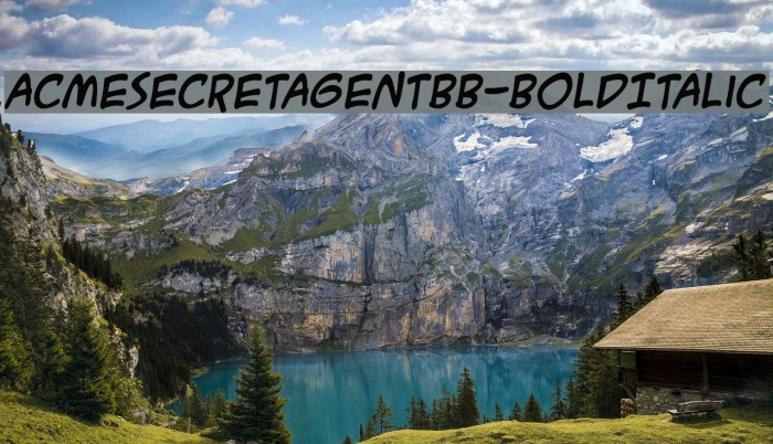 ACMESecretAgentBB-BoldItalic Font examples
