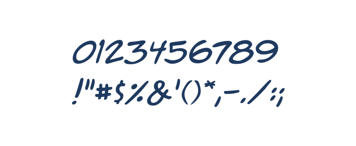 ACMESecretAgentBB-Italic Other Characters