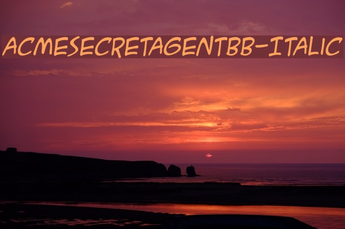 ACMESecretAgentBB-Italic Example 2