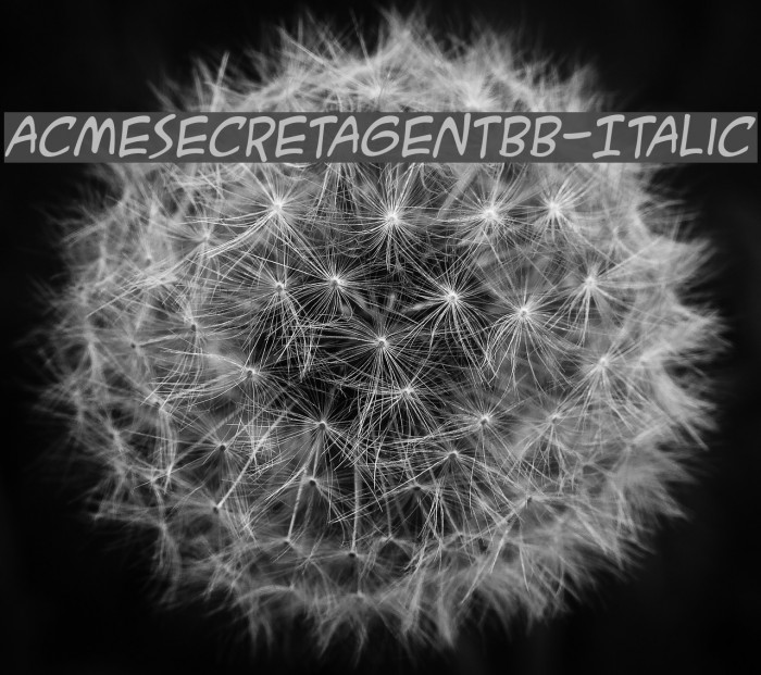 ACMESecretAgentBB-Italic Example 3